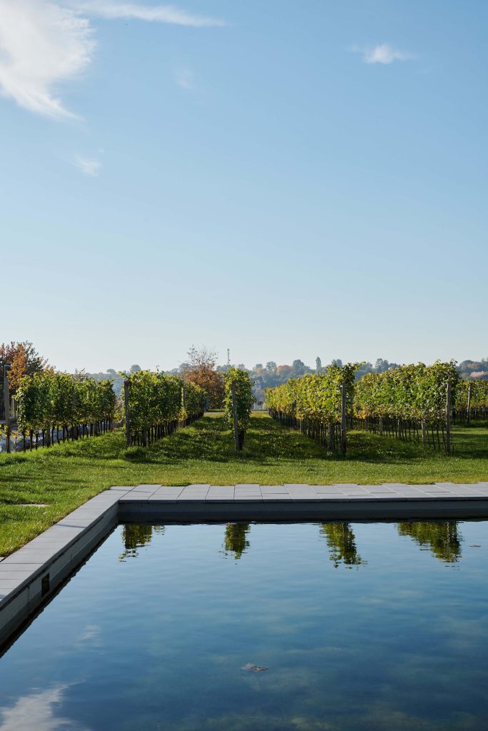 Blick über einen Pool in den Weinbergen